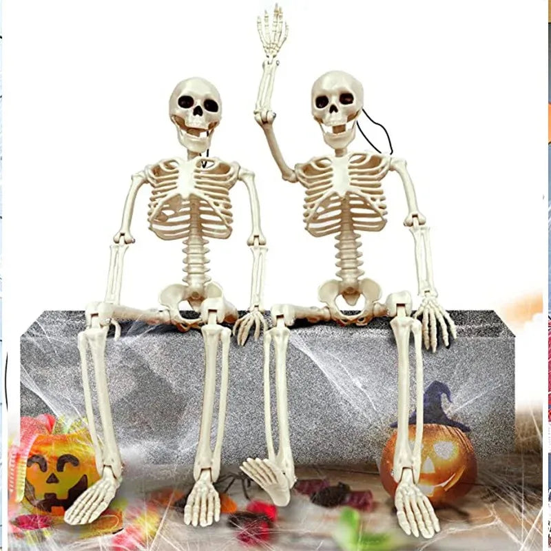 Squelette posable d'os forme humaine 40cm