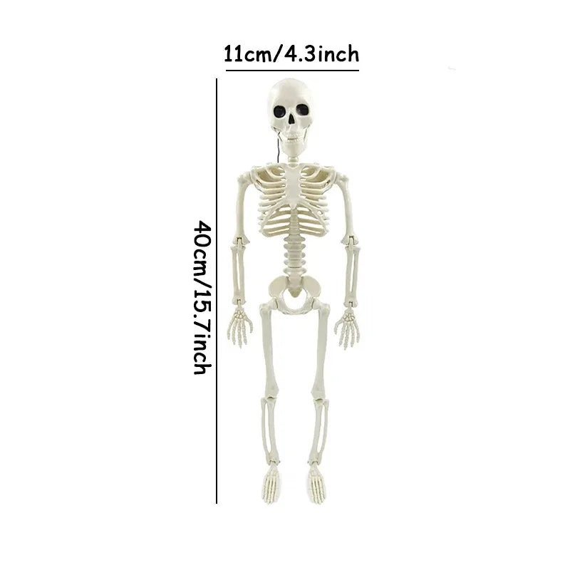 Squelette posable d'os forme humaine 40cm